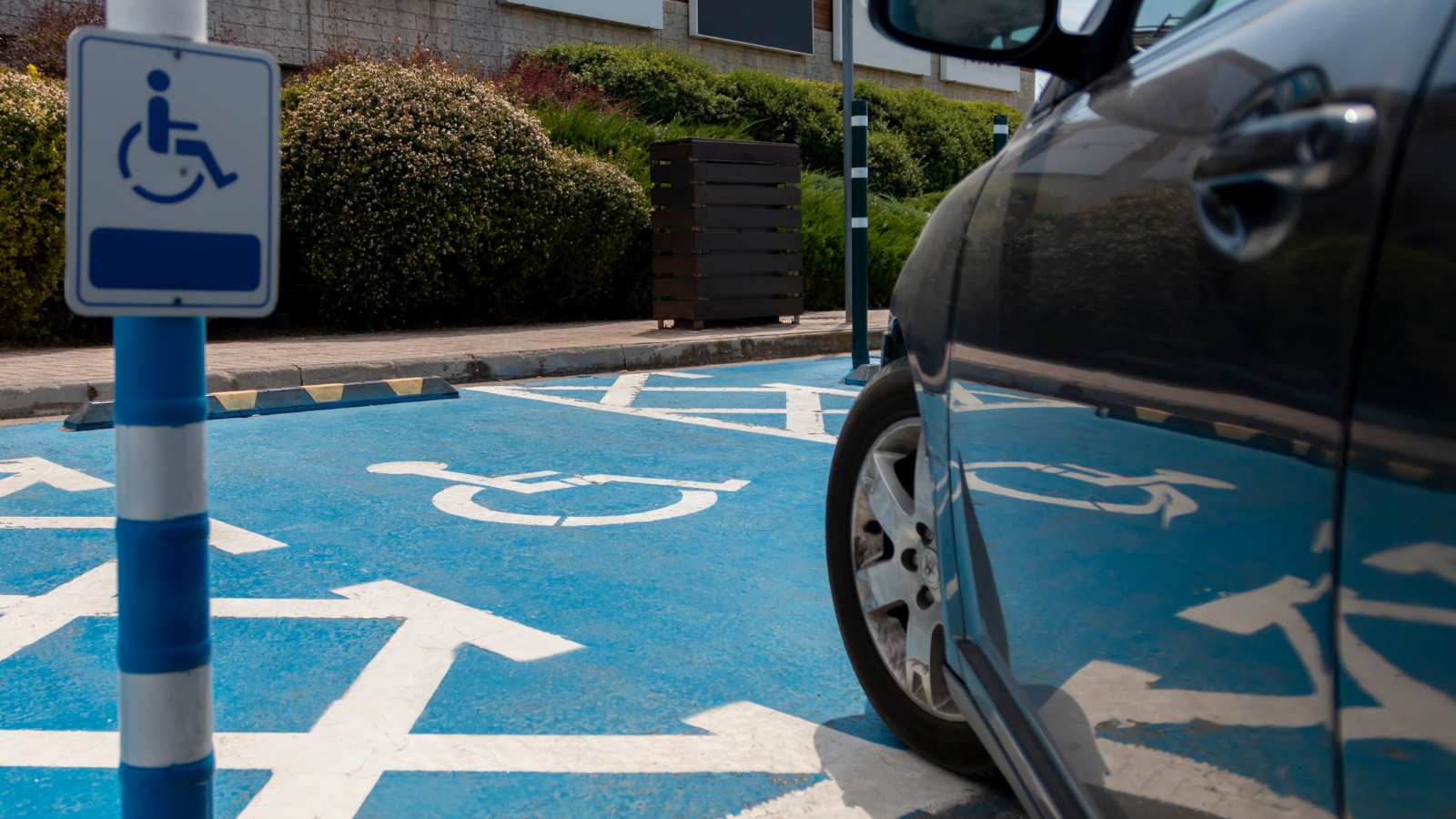 car pulling into disabled parking spot