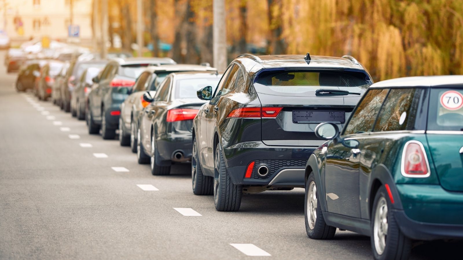 Most Homeowners Park One Car in the Driveway and One on the Street—But One Neighbor Parks Both on the Street residential street parking
