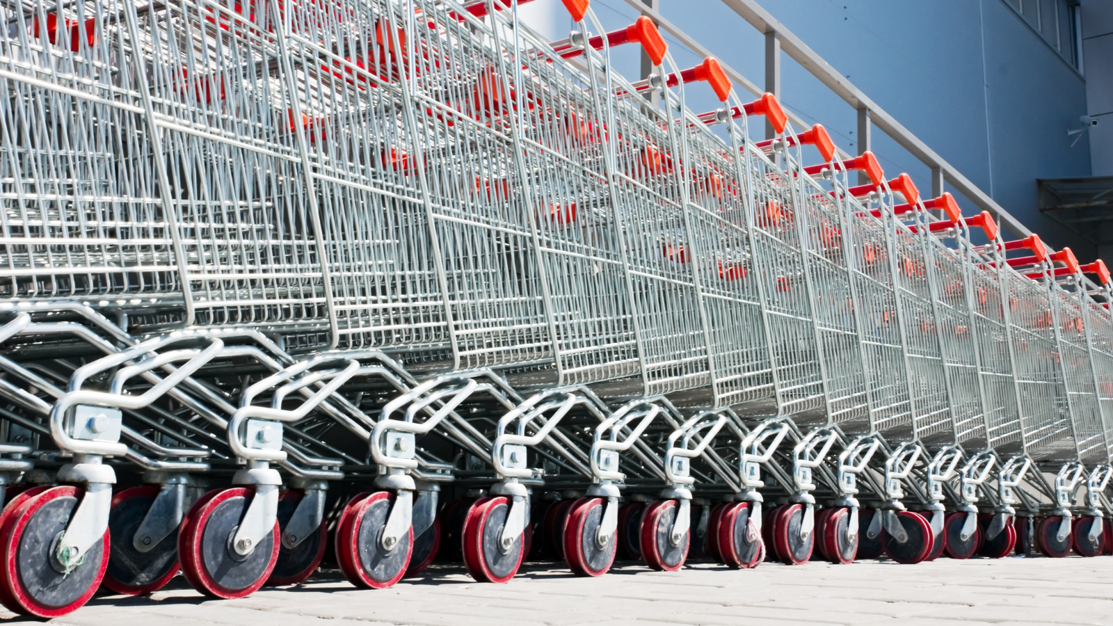 shopping carts