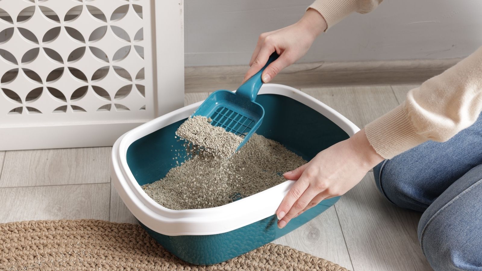 Divorced Woman Blames Her Ex Husband’s Affair Partner for Their Breakup—So She Puts Used Kitty Litter in Her Car woman cleaning a litterbox