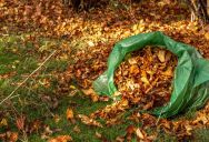 Waste Crew Refused To Pick Up A Homeowner’s Yard Waste, So He Responded By Making The Pile Even Bigger And Heavier