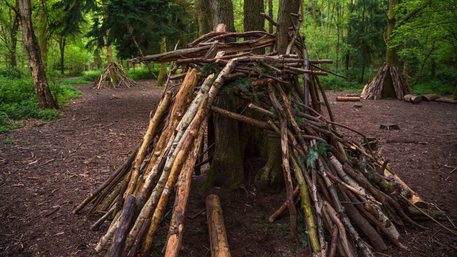 They Built a Masterpiece Forest Fort—Then Older Kids Looted Their Tarps, Ropes, and Structural Lumber fort made out of sticks and branches