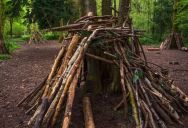 They Built a Masterpiece Forest Fort—Then Older Kids Looted Their Tarps, Ropes, and Structural Lumber