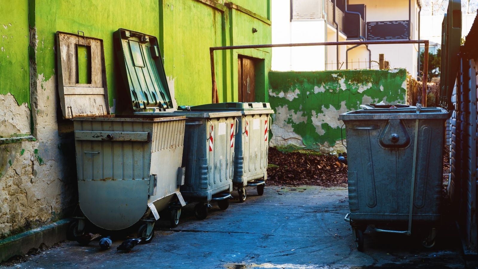 A Drunk Driver Knocked Over the Trash Bins — A Neighbor Filled Them With Water in the Middle of Winter dumpsters in an alley