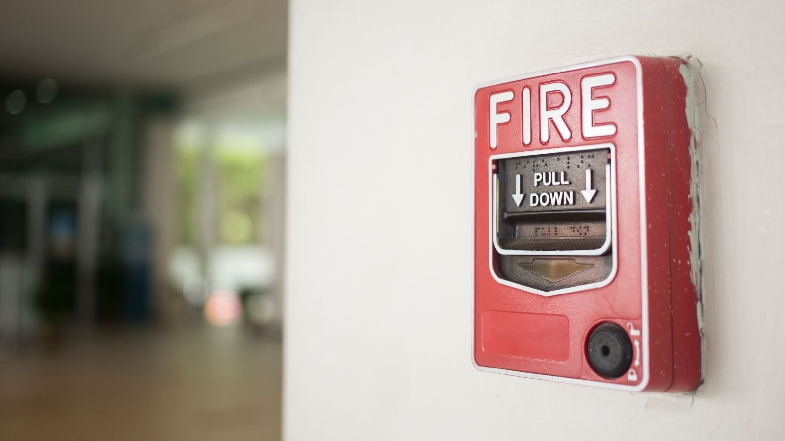 A Fire Broke Out In The Server Room, But The Sprinklers Made Things Worse By Destroying All The Electronics fire alarm on a wall