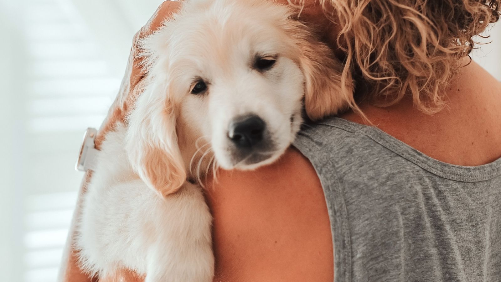 Woman Thought Her Friend Had Too Many Pets For Her Small Apartment, So She Reported Her To The Landlord woman holding a puppy over her shoulder