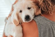 Woman Thought Her Friend Had Too Many Pets For Her Small Apartment, So She Reported Her To The Landlord