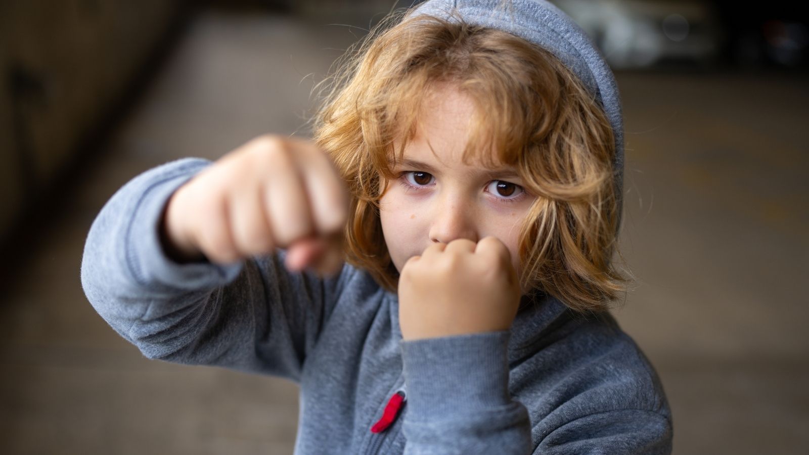 Neighbor Kids Have Harassed Their Family for Over 2 Years — Now Theyre Threatening to Call the Parents and Police little boy in a hoodie ready for a fight
