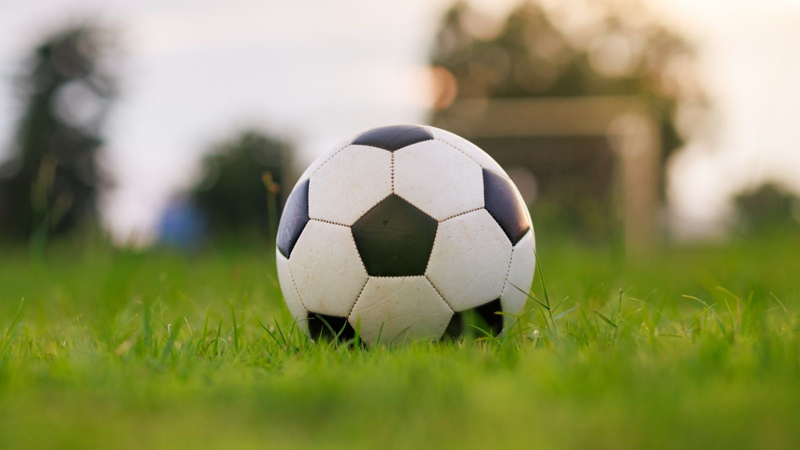 Neighborhood Kids Kept Kicking Soccer Balls at His House — So He Bought Them an Actual Goal soccer ball in the grass