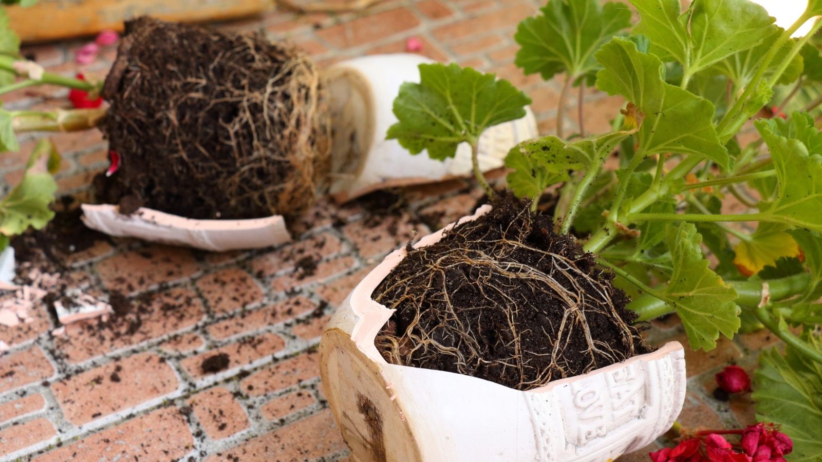 Kids Keep Trampling His Porch And Ruining His Plants, But He Cant Figure Out How To Stop Them knocked over and broken flower pots