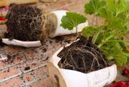 Kids Keep Trampling His Porch And Ruining His Plants, But He Can’t Figure Out How To Stop Them