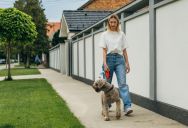 Her Neighbor Stares at Her Every Time She Walks Her Dog — She Refuses to Change Her Route Because of Him