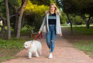 He Loved the Daily 40-Minute Trek to the New Park with Their Dogs—So She Suggested a “3-Day Local / 2-Day Destination” Park Schedule