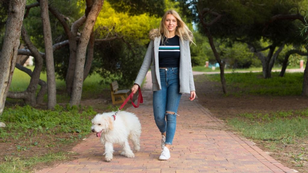 young woman walking a large white dog in the park