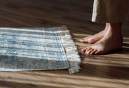 They Tried to Live Quietly in Their Apartment—But Their Downstairs Neighbor Kept Complaining About Every Footstep and Conversation