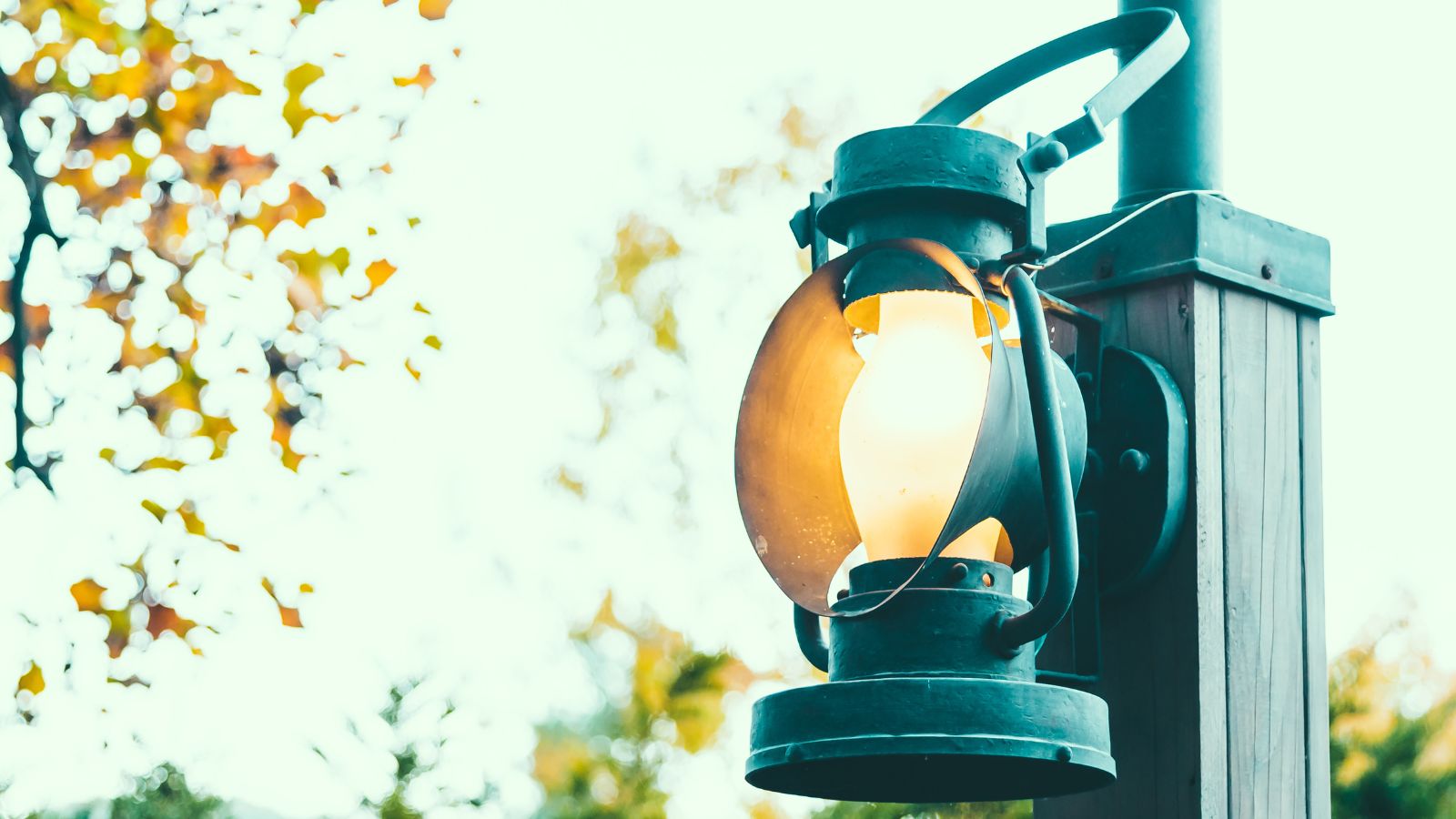 She Adjusted Her Neighbors Blinding Outdoor Floodlights Away From Her Window—Then They Permanently Angled Them Back An outdoor light installed on a wooden post