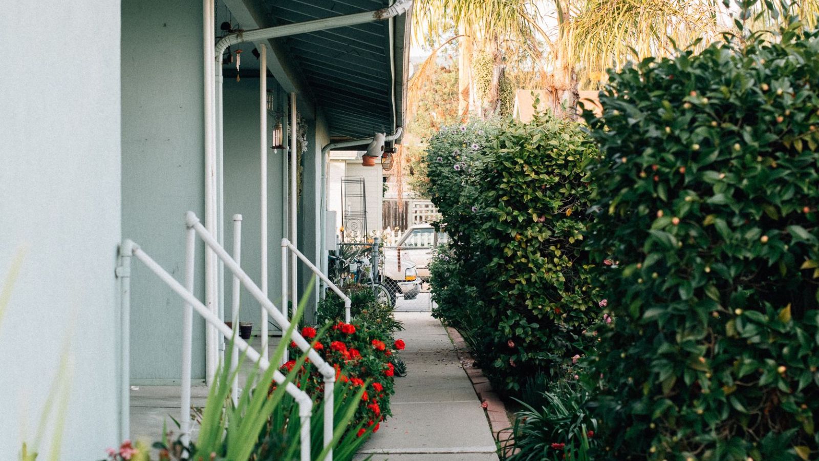 Residential pathway with plants and hedges in front of the houses