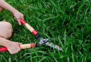A Woman Mowed Her Neighbor’s Lawn Uninvited — But Her Reaction to Some Curbside Shelving Was Even Stranger