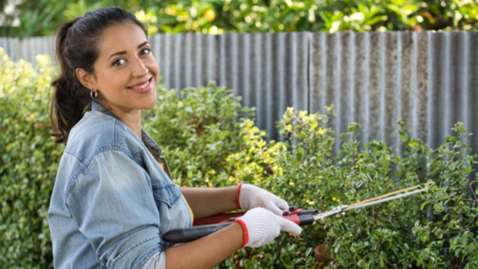 Her Neighbor Chopped Down Mature Plants Across the Property Line—Then Claimed the Previous Owner Gave Permission Over a Year Ago Trimming bushes