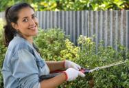 Her Neighbor Chopped Down Mature Plants Across the Property Line—Then Claimed the “Previous Owner Gave Permission” Over a Year Ago