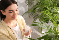 Woman Asked Her Roommate To Stop Filling Their Shared Apartment With Dozens Of Plants, But The Request Was Quickly Labeled Unreasonable