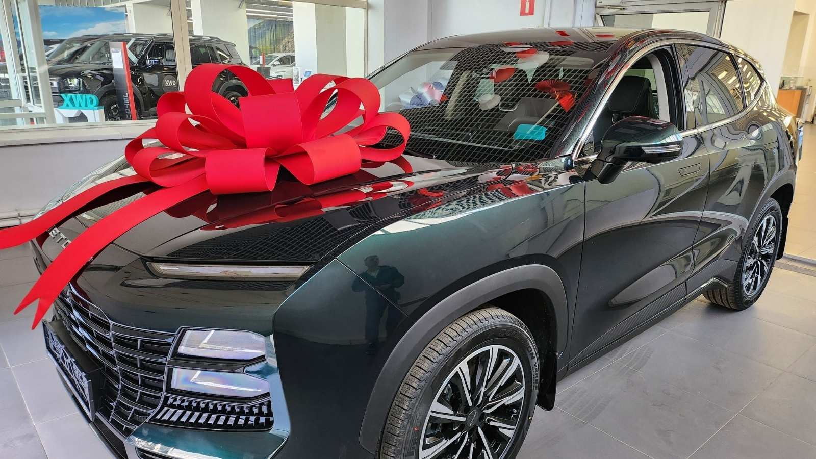Woman Refused To Lend Her Brand New Car For A Weekend Trip, But Her Sibling Still Called Her Selfish After She Offered To Pay For A Rental a new car with a red bow on it