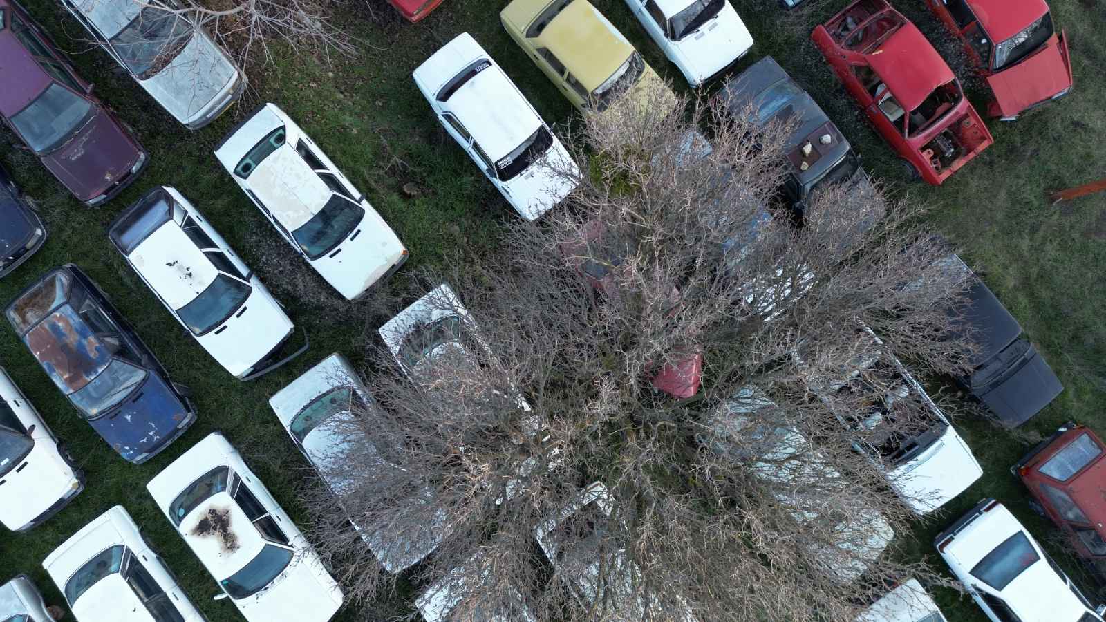 cars parked in the grass