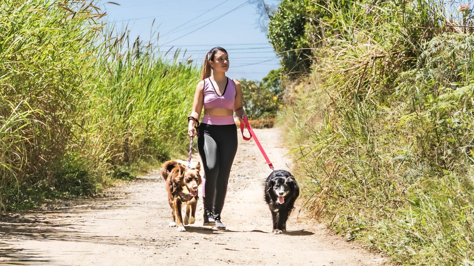 He Thought Her Dog Photo Was a Subliminal Attack on Him—So She Sent Him a Block Notice and the Vet Receipts He Owes woman walking two dogs