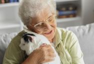 Woman Learned Her Aunt “Kidnapped” Her Grandma’s Cat While She Was On An Anniversary Trip, So She Threatened To Call The Police