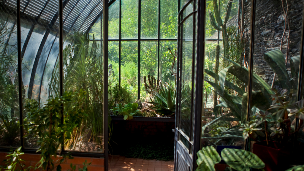 A Shopper Turned A Routine Tax Charge Into A Full Blown Dispute — Demanding A Manager When The Employee Wouldnt Remove It interior of a greenhouse