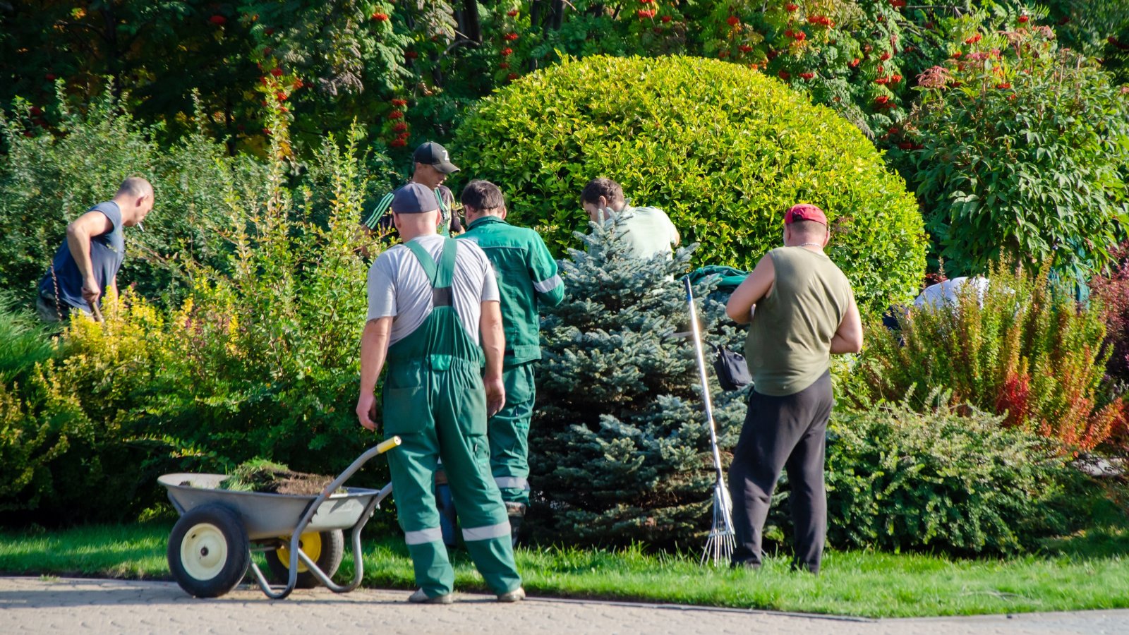 Landscapers Destroyed Her Private Garden on HOA Orders—Then Sent Her a Huge Bill for the Removal landscaping crew at work on lawn and shrubs