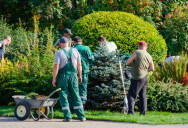 Landscapers Destroyed Her Private Garden on HOA Orders—Then Sent Her a Huge Bill for the “Removal”