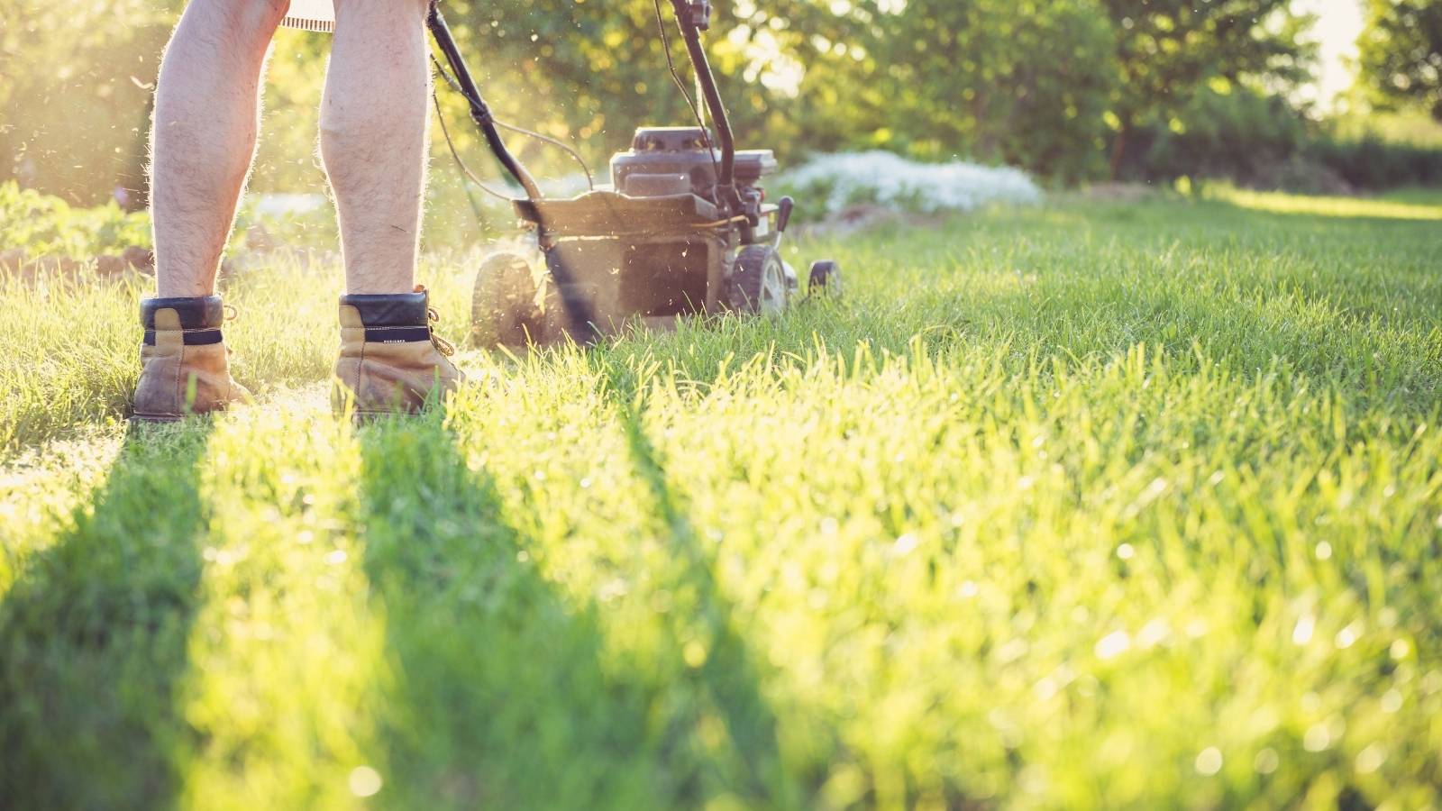 Homeowner Found Out His Neighbor Was Secretly Negotiating With His Lawn Company To Skip Part Of His Yard And Mow The Neighbors Instead lawn care service