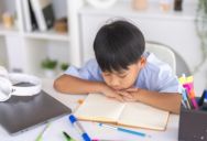 She’s Desperately Trying to Stop Her Little Brother From Failing School—But Their Unconcerned Parents Are Letting Him Ruin His Future