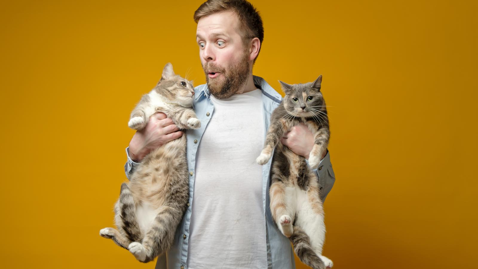 A Rental Agent Signed Off on His Cats Before Move In Day—Now Shes Trying to Backpedal and Leave Him Homeless man holding two cats