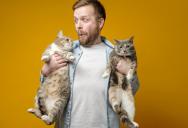 A Rental Agent Signed Off on His Cats Before Move-In Day—Now She’s Trying to Backpedal and Leave Him Homeless
