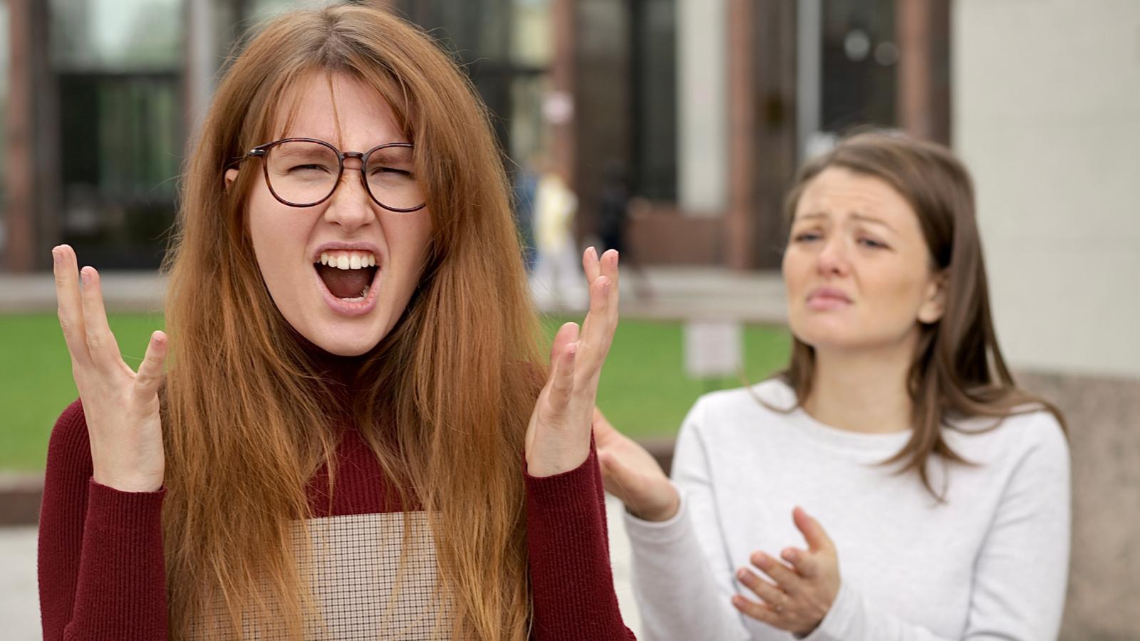 She Planned an Outing Beyond Her Sisters Budget—Then Excluded Her Entirely Instead of Facing the Awkwardness of Money Conversations two women having an argument