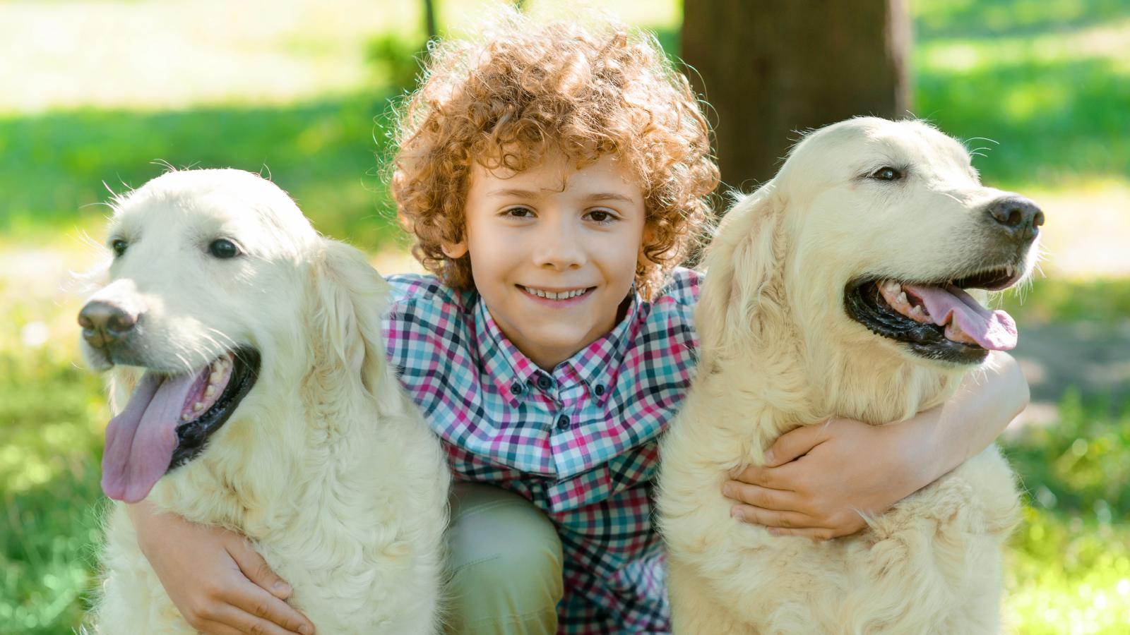 His Neighbor Keeps Showing Up in His Yard Unannounced With His Son to Play With the Dogs — Hes Had Enough boy with two dogs