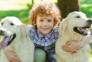 His Neighbor Keeps Showing Up in His Yard Unannounced With His Son to Play With the Dogs — He’s Had Enough