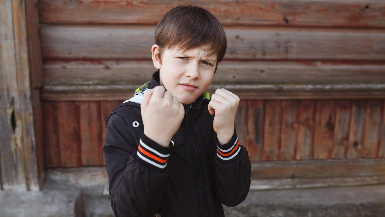 Teenager Harasses People in His Neighborhood—But His Parents Insist He’s a ‘Good Kid’ and Won’t Discipline Him boy holding up his fists