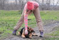 German Shepherd Owner Insisted The Dog Was Friendly, But The Person It Jumped On Wasn’t Impressed By The Unexpected Encounter