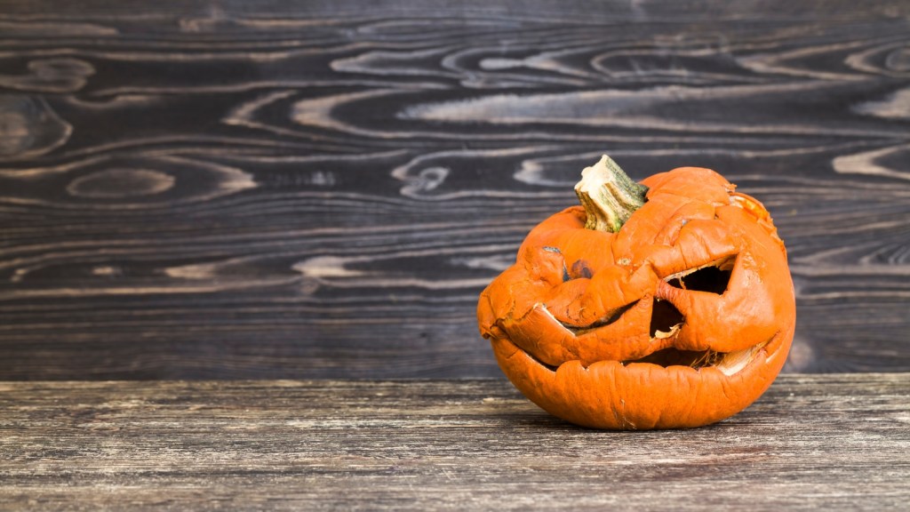 One Customer Expected Perfect Pumpkins Right Before Halloween, Yet The Late Timing Left Her Frustrated With Whatever The Store Still Had Available rotten pumpkin