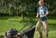 A Homeowner Demanded Her Wet Grass Be Mowed After Being Explicitly Warned—Now Her Ruined Lawn Is an Eyesore for the Whole Neighborhood