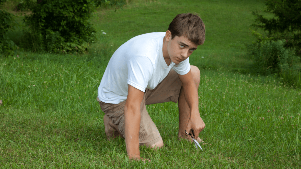 He Thought Cutting The Grass Would Be A Simple Kind Gesture, Yet The Reaction He Got Made Him Regret Offering To Help teen boy mowing the grass with scissors