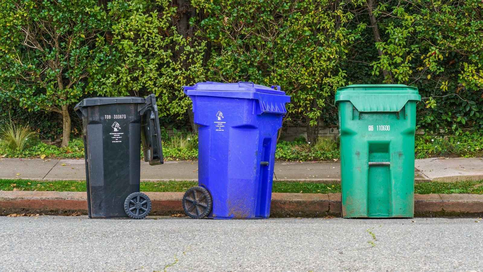 trash cans out at the curb