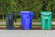 Homeowner’s Neighbor Kept Moving Her Trash Cans Off Her Property Every Week, So She Finally Confronted Him