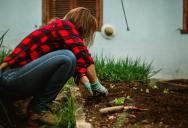 A Year Of Dust And Debris In Her Pool, All Because Her Neighbors Tore Out Their Lawn