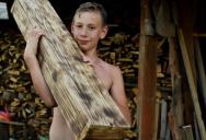 His Dad Told Him to Get the Wood Off the Driveway—So He Stacked It in Front of the Door, and His Mom Approved