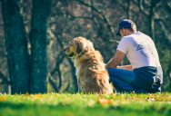 A Neighbor Escalated From Annoying Boundary Crossings to Unhinged Harassment Targeting a Couple and Their Socially Anxious Dog