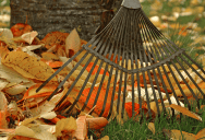 Kids Were Raking Leaves in Their Own Yard—Until They Caught a Hostile Neighbor Taking Photos of Them